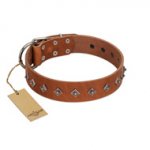 "Broadway" Handmade FDT Artisan Tan Leather Bullmastiff Collar with Dotted Pyramids