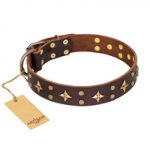 "High Fashion" FDT Artisan Embellished Brown Leather Bullmastiff Collar