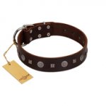 "Pure Sensation" Exclusive FDT Artisan Brown Leather Bullmastiff Collar with Fancy Brooches and Studs
