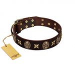 "Captain Hook" FDT Artisan Brown Leather Bullmastiff Collar with Stars and Skulls