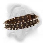 Bullmastiff comfy leather dog collar with spikes and studs