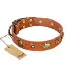 "Visual Magic" FDT Artisan Tan Leather Bullmastiff Collar for Daily Activities