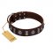"Spiky Way" FDT Artisan Brown Leather Bullmastiff Collar with Silver-Like Decorations