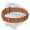 Attractive Bullmastiff Collar with Brass Studs and Conchos