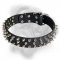 Splendid Leather Bullmastiff Collar Decorated with 3 Rows of Silver-Like Spikes