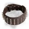 3 Inch Leather Bullmastiff Collar with 4 Rows of Nickel Spikes