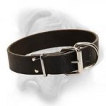 Bullmastiff leather dog collar for amazing results in training and safety in walking