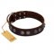 "King Arthur" FDT Artisan Brown Leather Bullmastiff Collar with Spiky Plates