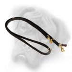 Multitask Nylon Bullmastiff Leash for Various Occasions