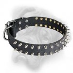 Great Leather Bulmastiff Dog Collar Decoraed With Silver-like Spikes
