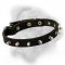 Genuine leather dog collar with nickel spikes for Bullmastiff breed