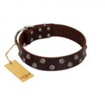"Blossom Jewel" FDT Artisan Brown Leather Bullmastiff Collar with Two Rows of Silver-like Studs with Engraved Flowers