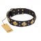 "Fancy-Schmancy" FDT Artisan Studded Leather Bullmastiff Collar