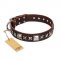 "Perfect Impression" FDT Artisan Brown Leather Bullmastiff Collar with Silvery Square Studs