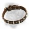 Chic leather dog collar with pyramids and studs for Bullmastiff
