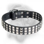 Unbelievable Leather Collar for Bullmastiff Breed
