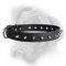 Lovely Royal Quality Leather Bullmastiff Collar for Walks