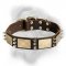 The Best Designer Leather Dog Collar with Massive Plates and Spikes for Bullmastiff breed
