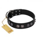 "Silver Medallions" Mod FDT Artisan Black Leather Bullmastiff Collar with Round Plates
