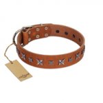 "Star Shine" Exclusive FDT Artisan Tan Leather Bullmastiff Collar with Silver-Like Adornments