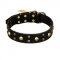 "Heavy Metal" Leather Bullmastiff Collar with Skulls and Studs 1 1/2 inch (40 mm)