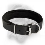 Leather dog collar padded with thick felt for Bullmastiff breed