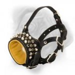 Exquisite decoration of leather dog muzzle