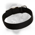 Wide 2 ply Nylon Bullmastiff Collar for Everyday Use