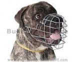 'The Silecer' Exquisite Wire Basket Bullmastiff Muzzle