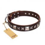 "Perfect Impression" FDT Artisan Brown Leather Bullmastiff Collar with Silvery Square Studs