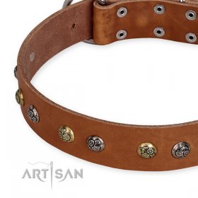 "Golden"n"Silver Luxury" FDT Artisan Leather Bullmastiff Collar with Engraved Studs