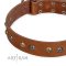 "Golden"n"Silver Luxury" FDT Artisan Leather Bullmastiff Collar with Engraved Studs