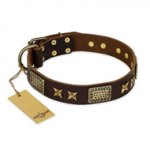 "Sparkling Bronze" FDT Artisan Genuine Leather Bullmastiff Collar with Bronze Look Stars and Plates