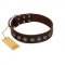 "Starry-Eyed" Best Quality FDT Artisan Brown Designer Leather Bullmastiff Collar with Small Plates