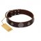 "Flashy Woof" FDT Artisan Brown Leather Bullmastiff Collar with Chrome Plated Brooches