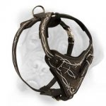 Classy leather dog harness for walks and training