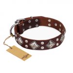 "King of Grace" FDT Artisan Stylish Leather Bullmastiff Collar with Old Silver-Like Plated Decorations