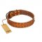 "Walk and Shine" FDT Artisan Tan Leather Bullmastiff Collar with Antiqued Studs