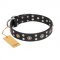 "Refined Essence" FDT Artisan Black Leather Bullmastiff Collar with Silvery Studs