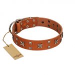 "Faraway Galaxy" FDT Artisan Tan Leather Bullmastiff Collar Adorned with Stars and Squares