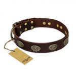 "Chocolate kiss" FDT Artisan Leather Bullmastiff Collar with Old Bronze Look Oval Plates