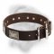 Designer Leather Bullmastiff Collar with Massive Nickel Plates
