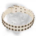 Elegant White Bullmastiff Collar with Nickel Square Dotted Studs
