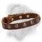 Fabulous Leather Puppy Bullmastiff Collar with Brass Circles