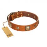 "Celtic Tunes" FDT Artisan Tan Leather Bullmastiff Collar Adorned with Stars and Squares