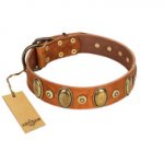 "Crystal Sand" FDT Artisan Tan Leather Bullmastiff Collar with Vintage Looking Oval and Round Studs
