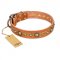 "Feast of Luxury" FDT Artisan Tan Leather Bullmastiff Collar with Old Bronze Look Circles