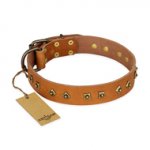 "Autumn Story" FDT Artisan Leather Bullmastiff Collar with Old Bronze Look Studs