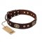 "Breath of Elegance" FDT Artisan Decorated with Plates Brown Leather Bullmastiff Collar