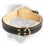 Elegant Bullmastiff Dog Collar made of nappa leather